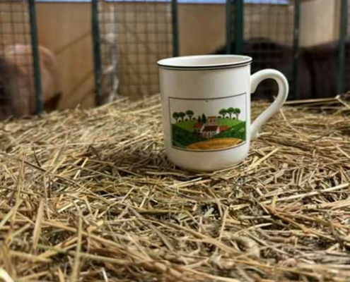 Miscanthus Naturstreu - Mehr Zeit für Pausen