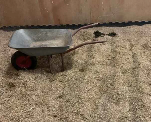 Miscanthus-Einstreu nach dem Abäppeln