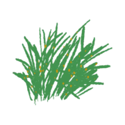 Symbol Miscanthus - lose Ware