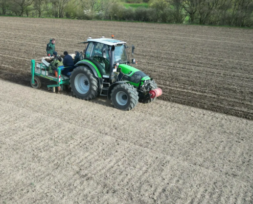 Landwirtschaftlicher Anbau von Miscanthus zur Herstellung von Naturstreu